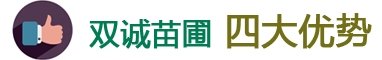 ˫ԳĴ